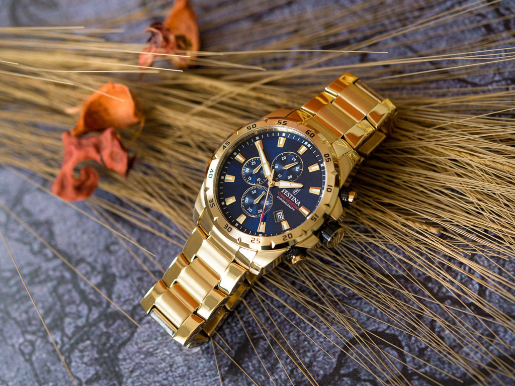 Zegarek męski FESTINA F20541/2 Chrono Sport