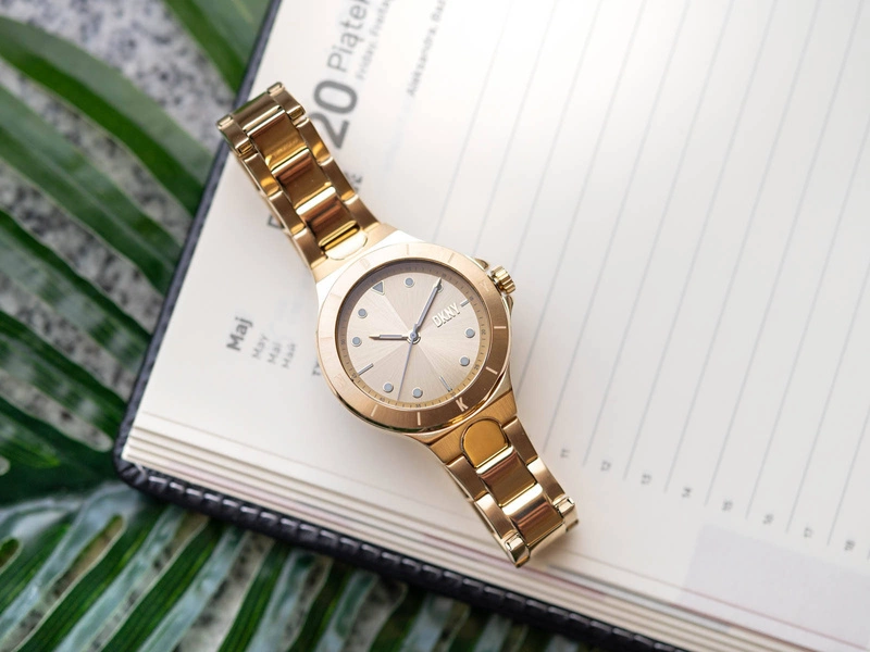 Zegarek damski DKNY Chambers NY6655