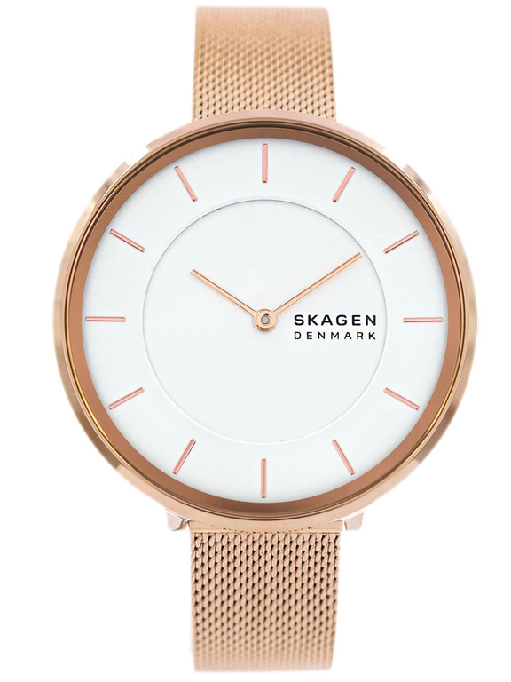 Zegarek damski SKAGEN Gitte SKW3013